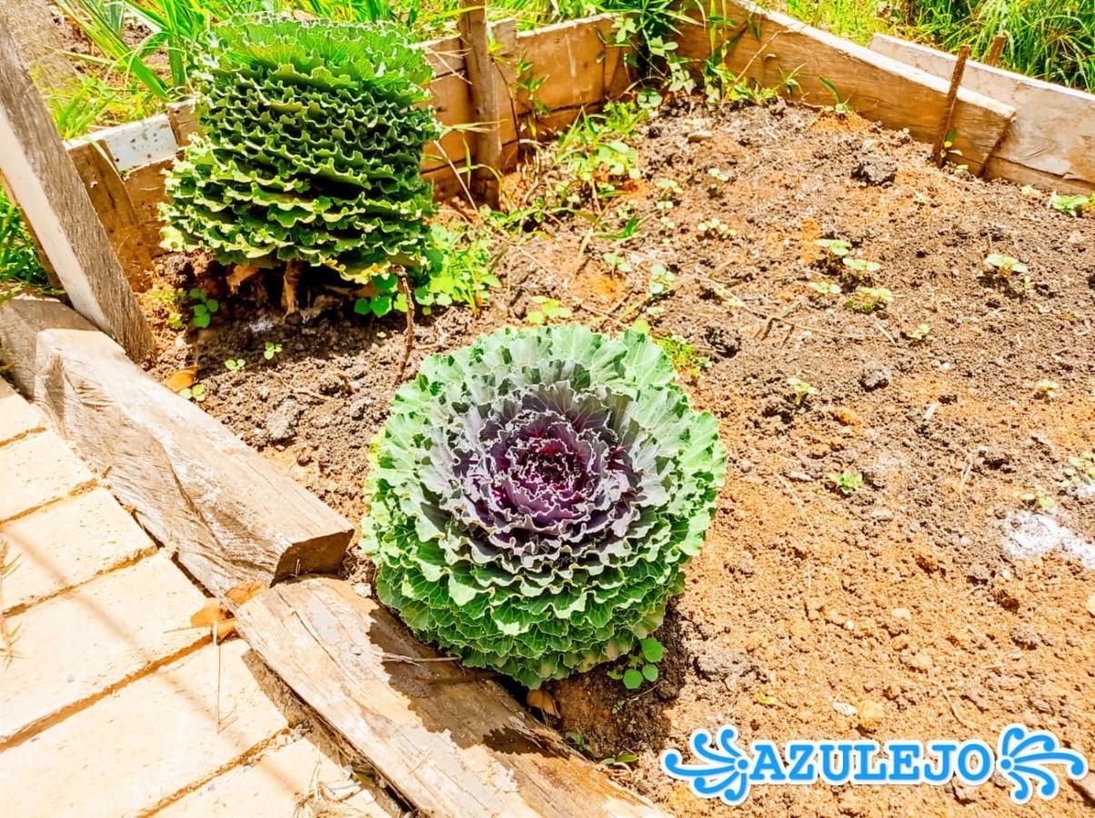 Azulejo Otel Jericoc  Dış mekan fotoğraf